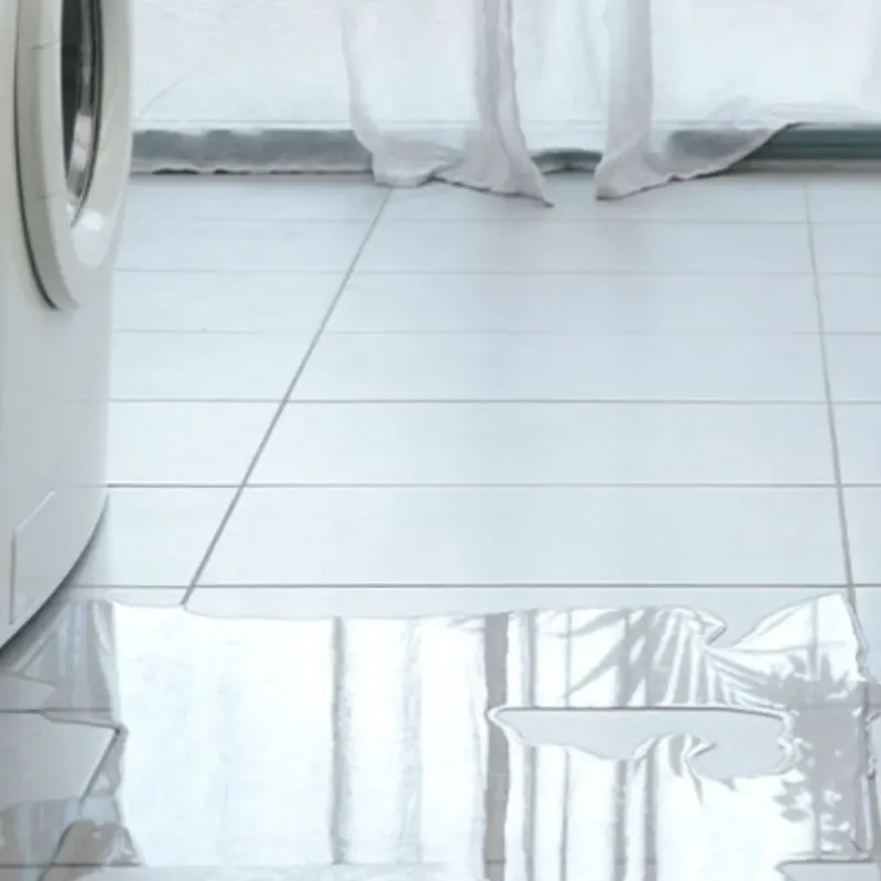 Appliance Leak Cleanup in Contra Costa Centre, CA